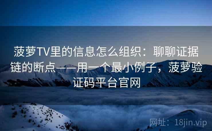 菠萝TV里的信息怎么组织：聊聊证据链的断点——用一个最小例子，菠萝验证码平台官网